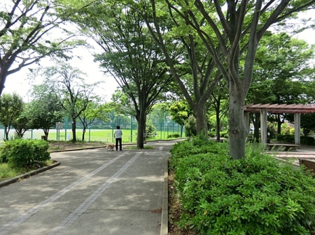 �_�ސ쌧���l�s����擌�����1���ڂ̒��È�ˌ��Ă̎��ӊ�