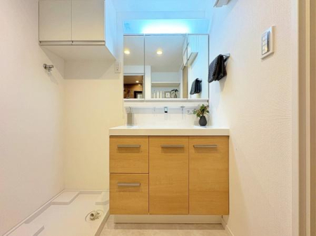 �_�ސ쌧���l�s������Ԓ��̒��Ã}���V�����̐��ʑ�E���ʏ�