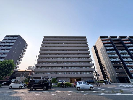 �_�ސ쌧���l�s�_�ސ��q����3���ڂ̒��Ã}���V�����̂��̑����p��