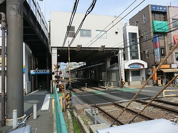 �_�ސ쌧���l�s�_�ސ��q����3���ڂ̒��Ã}���V�����̎��ӊ�