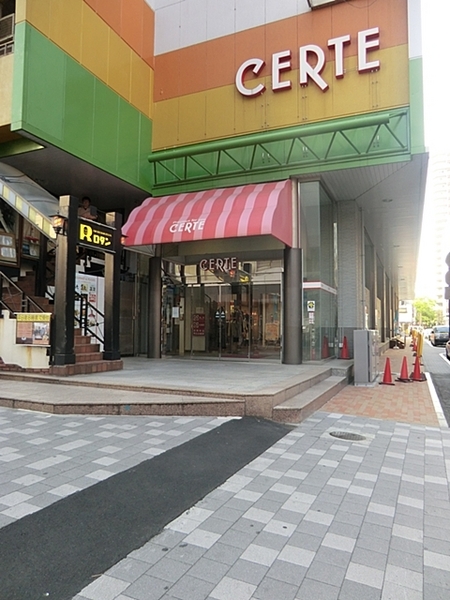 �_�ސ쌧���l�s�����Β��̒��Ã}���V�����̎��ӊ�