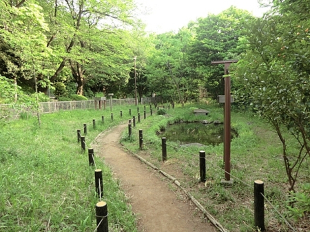 �_�ސ쌧���l�s�ߌ��擌����6���ڂ̒��È�ˌ��Ă̎��ӊ�
