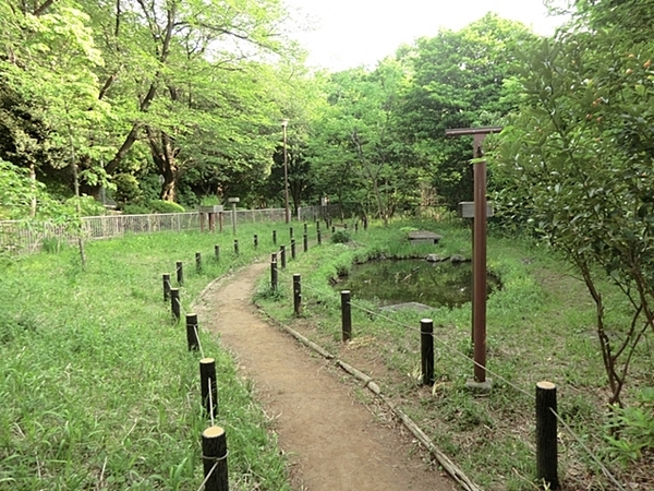 �_�ސ쌧���l�s�ߌ��擌����6���ڂ̒��È�ˌ��Ă̎��ӊ�