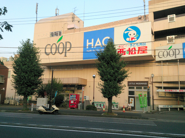 �_�ސ쌧���l�s�_�ސ��Бq5���ڂ̒��Ã}���V�����̎��ӊ�