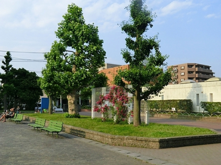 �_�ސ쌧���l�s�ߌ���h����1���ڂ̒��È�ˌ��Ă̎��ӊ�