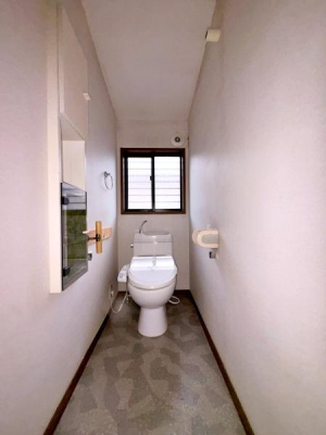 �_�ސ쌧��a�s����3���ڂ̒��È�ˌ��Ẵg�C��