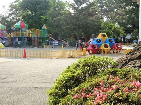 �_�ސ쌧���l�s�`�k�撹�R���̒��È�ˌ��Ă̎��ӊ�