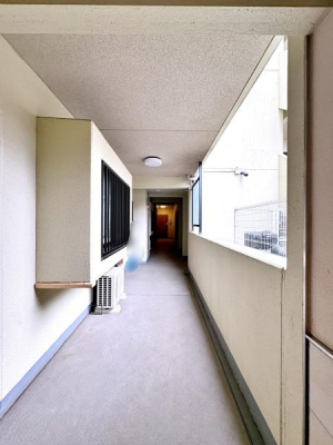 �_�ސ쌧���l�s�`�k�揬�����̒��Ã}���V�����̂��̑����p��