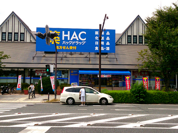 �_�ސ쌧���l�s����{�q���̒��Ã}���V�����̎��ӊ�