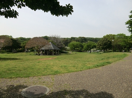 �_�ސ쌧���l�s����{�q���̒��Ã}���V�����̎��ӊ�