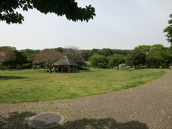 �_�ސ쌧���l�s����{�q���̒��Ã}���V�����̎��ӊ�