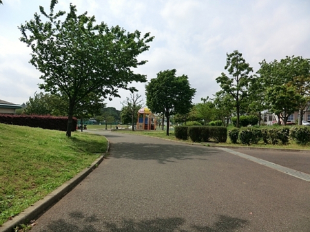 �_�ސ쌧��a�s�[���̐V�z��ˌ��Ă̎��ӊ�