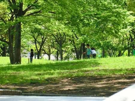 �_�ސ쌧���l�s�����\���䓌�̒��Ã}���V�����̎��ӊ�