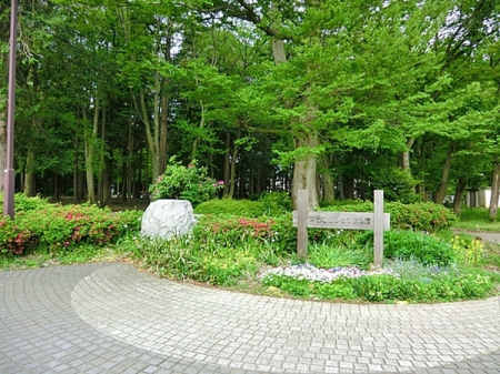�_�ސ쌧���l�s���J�扺���J2���ڂ̒��Ã}���V�����̎��ӊ�