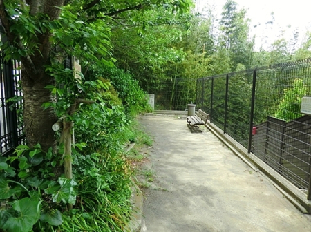 �_�ސ쌧���q�s�Â̒��È�ˌ��Ă̎��ӊ�