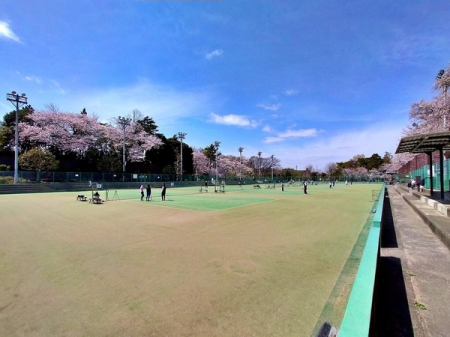 その他　三ッ沢公園には、全18面のテニスコートが整備されています。もともとテニスが趣味の方にお勧め出来る事はもちろんですが、お引越しを機に初めて見るのもいかがでしょうか。
