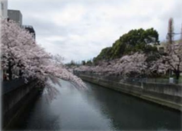 住戸からの眺望写真　青い空と大岡川のせせらぎを感じる休日。春には桜並木が大変きれいな川沿いです。
