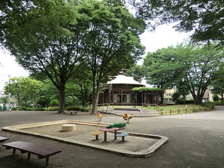 周辺環境　横浜市の各区に1つずつある「こどもログハウス（小中学生が無料で遊べる施設）」。西区はこの公園内にあります。また、神奈川大学の前進「横浜専門学校」はこの場所で開校しました。