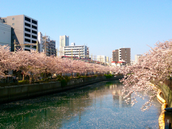 _ސ쌧ls揉3ڂ̒Ã}V̉摜