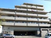 _ސ쌧lsߌk6ڂ̒Ã}V̉摜