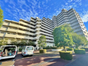 _ސ쌧ls˒ˋ挴h1ڂ̒Ã}V̉摜