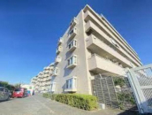 _ސ쌧ls`뒬397-3̒Ã}V̉摜