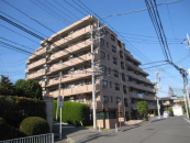 _ސ쌧ls`kg5ڂ̒Ã}V̉摜