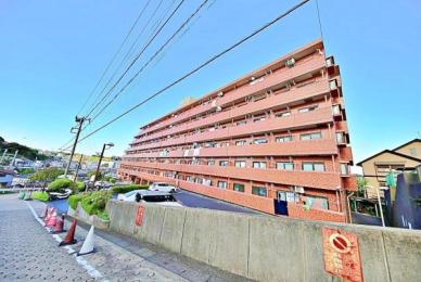 _ސ쌧ls_ސO198-1̒Ã}V̉摜