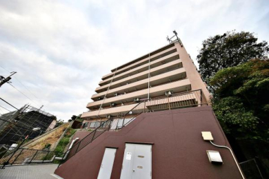 _ސ쌧lsq搙c5ڂ̒Ã}V̉摜