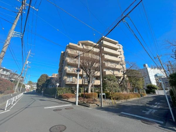 _ސ쌧ls˒ˋHt50-1̒Ã}V̉摜