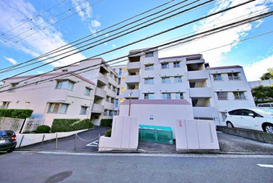 _ސ쌧lsʏ5ڂ̒Ã}V̉摜