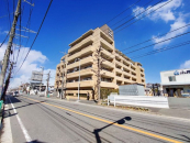 _ސ쌧lsqI1ڂ̒Ã}V̉摜