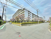 _ސ쌧ls˒ˋOc516-1̒Ã}V̉摜