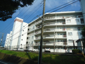 _ސ쌧ls˒ˋ㒬412-1̒Ã}V̉摜