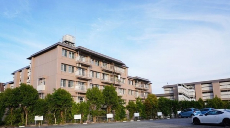 �_�ސ쌧���l�s�t��t��1���ڂ̒��Ã}���V�����̉摜