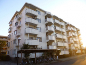 �_�ސ쌧���l�s�t�悷������1���ڂ̒��Ã}���V�����̉摜