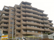 _ސ쌧lsOt63-11̒Ã}V̉摜