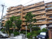 _ސ쌧ls˒ˋ於764-2̒Ã}V̉摜