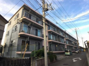 _ސ쌧ls˒ˋ㔐500-12̒Ã}V̉摜