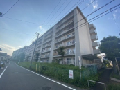 _ސ쌧lst悵Ƃ11-11̒Ã}V̉摜