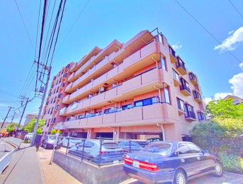 _ސ쌧ls`kg5ڂ̒Ã}V̉摜