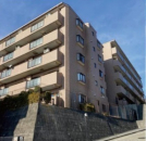 _ސ쌧ls``1ڂ̒Ã}V̉摜