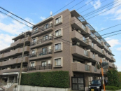 _ސ쌧lsh쎵1ڂ̒Ã}V̉摜