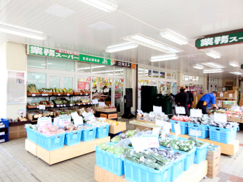 _ސ쌧lsۓyPJ捡䒬495-1̒Ã}V̉摜