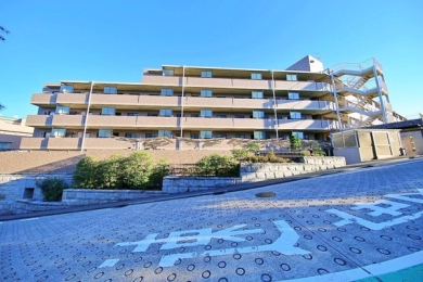 _ސ쌧ls`Ō2ڂ̒Ã}V̉摜