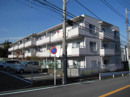 �_�ސ쌧���l�s�_�ސ��_�厛3���ڂ̒��Ã}���V�����̉摜