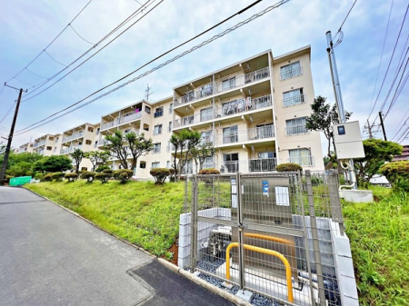 �_�ސ쌧���l�s�΋撷�Óc���̒��Ã}���V�����̉摜