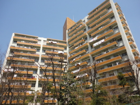 �_�ސ쌧���l�s�����t��1���ڂ̒��Ã}���V�����̉摜