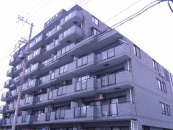 _ސ쌧ls折J2ڂ̒Ã}V̉摜