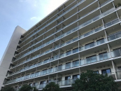 _ސ쌧ls˒ˋiZ503-1̒Ã}V̉摜